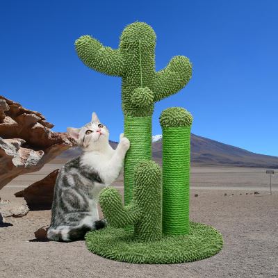 CactusScratcher™ - mon chic chat