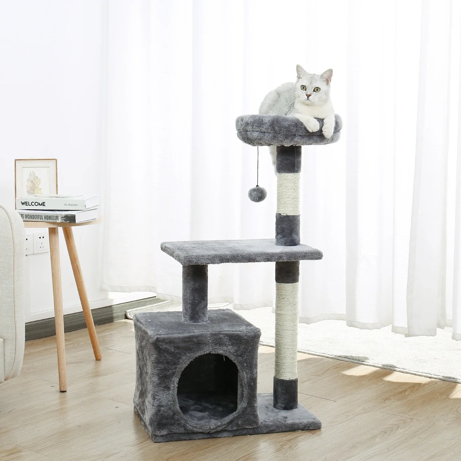 CatCondo™ - Basique - Ma boutique